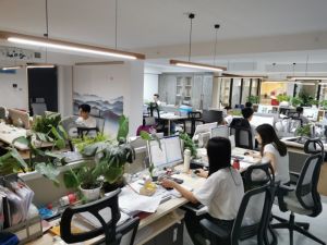 一樓技術(shù)部辦公區(qū)